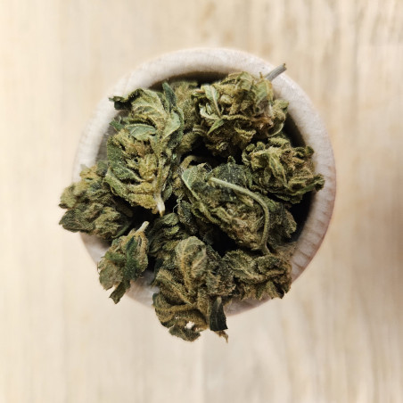 PINK KUSH - 5 G