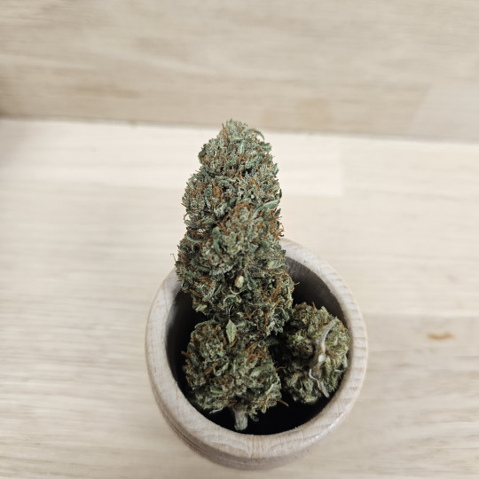 MAGIC MELON - 3 GR