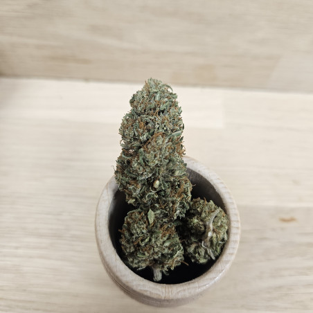 MAGIC MELON - 10 GR