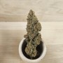GORILLA GLUE - 5 GR