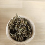 PURPLE - 10 GR