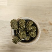 CRITICAL - 5 G