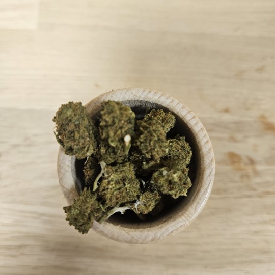 CRITICAL - 10 G