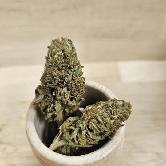 ORANGE PUNCH - 5 G