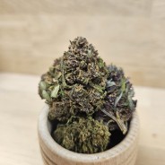 PLATINIUM - 10 GR