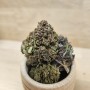 PLATINIUM - 10 GR